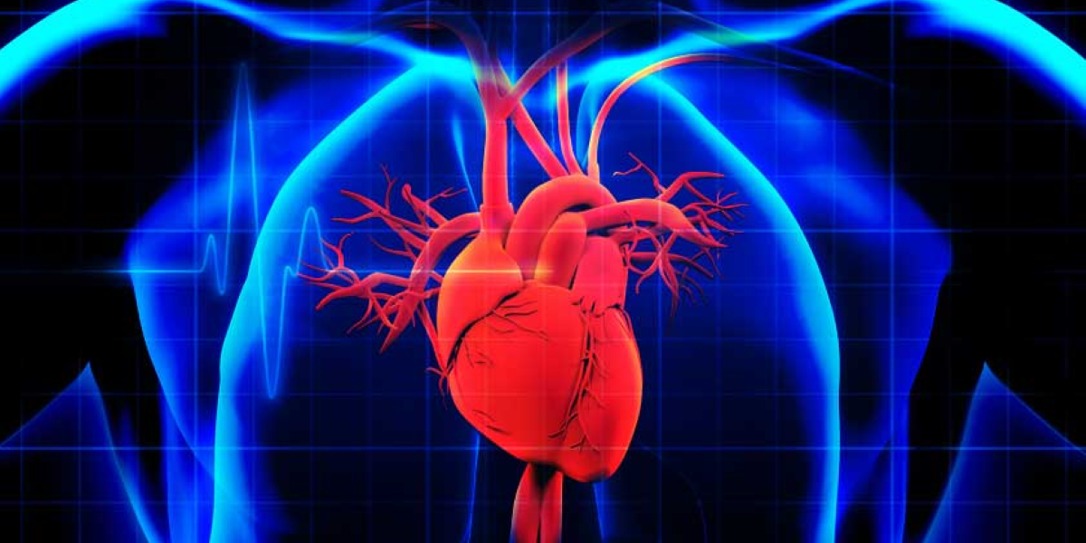 Yüksek Tansiyon ve Kalp Krizi İlişkisi Nedir?